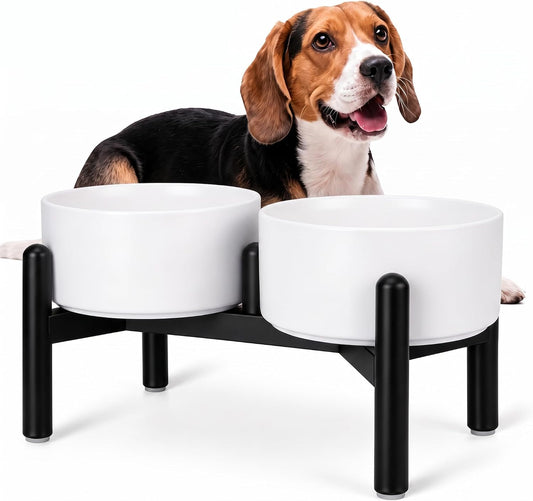 Raised Ceramic Dog Bowl Set - Elevated Double Dishes with Stainless Steel Stand - Food and Water Bowls for Small to Medium Dogs - Each Holds 3.5 Cups (29.57 fl oz) - White