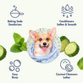 Arm & Hammer 2-in-1 Dog Shampoo and Conditioner, Cucumber Mint, 20 Fl Oz