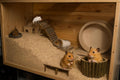 SIMENA Wooden Hamster Suspension Bridge Toy, Hamster Fencing, Natural Climbing Ladder for Dwarf Hamsters, Syrian Hamster