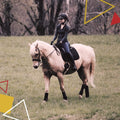 Kavallerie Elastic Fleece Bandages for Horses, Non- Slip and Snug fit Breathable Material for Injury Protection and Supe