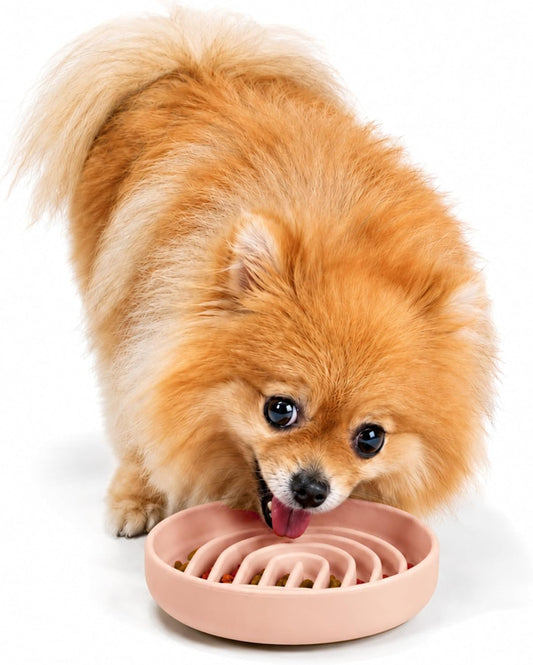 Should We Go? Slow Feeder for Dogs & Cats, The Slowdown Bowl Silicone Slow Eating Mealtime Solution with Modern Lick Mat Design, Reduces Gulping, Fits 1 Cup, 6” Across x 1.25” Tall, Small-Blush