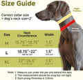Mayerzon Martingale No Pull Dog Collar with Alloy Buckle, Green, L, 3mm