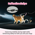Double Dog Leash - 360°Swivel Tangle Free Splitter Attachment, 2 Dogs Multi-Functional Leashes, Dual Rope for Outdoor Wa