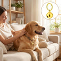 10Pcs Bell for Dog Collar Cat Bell Small Dog Bells with Key Rings Stainless Steel for Puppy Collars Pet Accessories (Sil