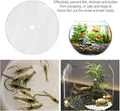 Acrylic Aquarium Anti Jumping Lid Cover 11.8 inch Effectively Prevents Water Splashing Prevent Fish Reptiles from Out of