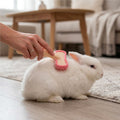 3PCS Bunny Brush Set, Silicone Pet Brush for Grooming, Rabbit Brush For Shedding Grooming, Hair Buster Comb for Small An
