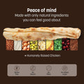 Earth Animal No Hide Stix - Long Lasting Rawhide Free Small Dog Chews Sticks, Chicken - 20 Count Value Pack