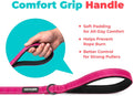 Best Pet Supplies Voyager Reflective Dog Leash or Collar with Neoprene Handle, for Small, Medium, and Large Breed Puppies, Cute and Heavy Duty for Walking, Running and Training - Fuchsia (Leash), S
