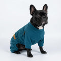 Fitwarm 2 Pack Lightweight Fleece Dog Pajamas, Warm Winter Dog Clothes for Small Dogs Boy Girl, Fuzzy Pet Onesie with Feet, Light Sky Blue, Turquoise, Small