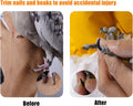 EMISTEM Bird Perch Rough-surfaced Nature Wood Stand Toy Branch for Parrots to Keep Nails and Beaks in Top Condition - Safe Easy to Install Bird Cage Accessories. 8 inch (Gray)