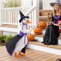 Porch Goose Halloween Outfit 17 Inch Wizard Porch Goose Costume