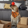 Halloween Dog Bandana Large -1 Pack, Reversible Dog Scarf