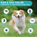 Flea and Tick Prevention for Dogs, 4-Pack Flea Collars, 32-Month Protection