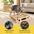 Cat Scratch Puzzle Enrichment Box, Interactive Cat Toy for 3 Balls & 2 Wand