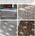 2.1QT Vermiculite for Reptile Tortoise Terrarium Substrate Snake Bedding