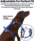 Non Restrictive No Pull Dog Harness, Medium