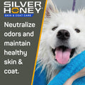 Silver Honey Nourish & Soothe Grooming Combo Pack, 16 fl oz each of Odor Neutralizer Shampoo + Leave-In Conditioner, Dog & Cat Skin & Coat Care, Natural Manuka Honey + MicroSilver BG, Pump Bottles