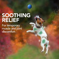 Vet’s Best Dog Pain Relief Supplement, Natural Aspirin Alternative for Hip & Joint Support, Arthritis & Aches Relief Tablets for Dogs, 150 Count