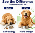 Dewormer for Dogs, Pyrantel Pamoate & Praziquantel, 20 Chewables