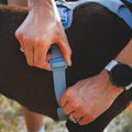 Ruffwear, Front Range Flex Dog Chest Harness