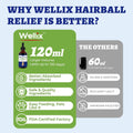 Wellix 120ml Cat Hairball Remedy Drops, Hairball Treatment & Relief for Cats, Natural Cat Furball Control Treats with Psyllium Husk, Omega 3, Support Skin & Coat, Digestive Health-Chicken Flavor