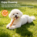 Dog Treats 5 Inch Duck Wrapped Rawhide Sticks 30 Count, 9.52 Oz