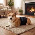 DENTRUN Male Dog Wrap, Adjustable Belly Band Leak-Proof & Lick Prevention