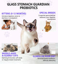 PuPulse Cat Constipation Relief, Constipation Relief for Cat, Cat Laxative Constipation Relief, 100% Natural Cat Laxative with Probiotics Cat Stool Softener, Promotes Digestive Health - 2 fl oz