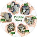 YISZM 5lbs Aquarium Gravel, 1/4" Fish Tank Gravel Natural River Rocks