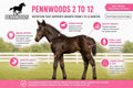 Pennwoods Foal Growth Supplement High Protein 2 to 12 Months, 11lb