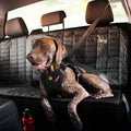 EzyDog Drive Dog Car Harness, Crash Tested and Certified - Medium