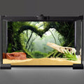 30x18 in Green Tree Reptile Habitat Background Rainforest Aquarium Backdrop
