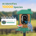 Bird Feeder with Camera Outdoor Solar: Smart Birdfeeder with AI Recognition - 2K HD Live Stream Video Camera for Outside