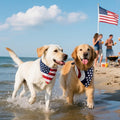 Dog Bandanas XLarge 2PCS in Storage Box, Reversible American Flag Pet Scarf for Boy and Girl, Washable, Adjustable Bandana for Dogs, 4th of July Patriotic Bandana for Large and Extra Large Dogs