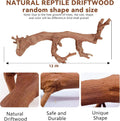 BNOSDM 2PCS Reptile Wood Branches Decor,Lizard Habitat Natural Wood Decoration,Snake Climbing Branch Accessories,Terrari