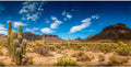 24x12 in Reptile Habitat Background Blue Sky Cactus Desert Tank Backdrop