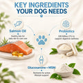 12-in-1 Dog Multivitamin Soft Chews, Daily Multivitamin for Dogs, Skin & Coat, Gut, Hip & Joint & Immune Support, Beef F