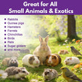 Topical Solution for Rabbits, Guinea Pigs & Exotics, Relieves Ear & Skin Infections, Scratching & Wounds, for Hamsters, 