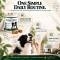 Holipaw Dental Chews for Dogs, Chicken Flavor, 60 Soft Chews