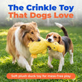 Best Pet Supplies Interactive Squeaky Dog Chew Toy, Ideal Dog Toys for Chewers, Small, Medium & Large Dogs, and Fetch Lovers - Crinkle Duck (Yellow), Large
