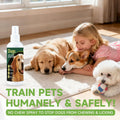BUGAZOOM‌ Bitter Dog No Chew Spray, Dog Training Aid for Furniture & Carpet, Puppy Corrector & Behavior Spray for Dogs &