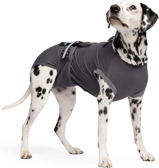 Dog Recovery Suit After Surgery – Soft Dog Onesie Alternative to Cone, Breathable Dog Surgical Suit for Spay Neuter Reco