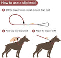 Strong Slip Rope Dog Training Leash (4ft) - Heavy Duty Durable Braided Nylon Lead with Rubber Stopper & Padded Handle - Large Medium Small Dogs No Pull Walking (Black, 1/2" x 4ft)