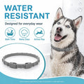Craveit Flea and Tick Collar for Dogs, 2 Pack, Large Dogs Over 18 lbs
