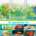 Tfwadmx Fish Breeding Box, 3 Rooms HD Aquarium Breeder Box with Suction Cups Hatchery Acrylic Fish Incubator Isolation w