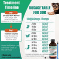 Liquid Dewormer 2X for Dogs & Cats, Pyrantel Pamoate Oral Liquid for Large Roundworms & Hookworms, Easy-to-Give Formula 