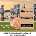 Animal Licking Salt Mineral Rock,100% Natural Rock Salt - Deer Attractant Rock