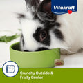 Vitakraft Bursts Small Animal Treat Wildberry Flavor 1.76 oz - Crispy Outside with Soft Berry Center - Fun Reward Snacks