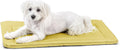PELZIN Cybarmour Chew Proof Dog Crate Pad - Outdoor Indestructible Dog Bed