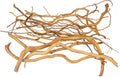 emours Natural Aquarium Driftwood, [170g] (20–40 cm /8–16 in) - Unique Root/Spider Wood Branches for Aquascaping, Plante